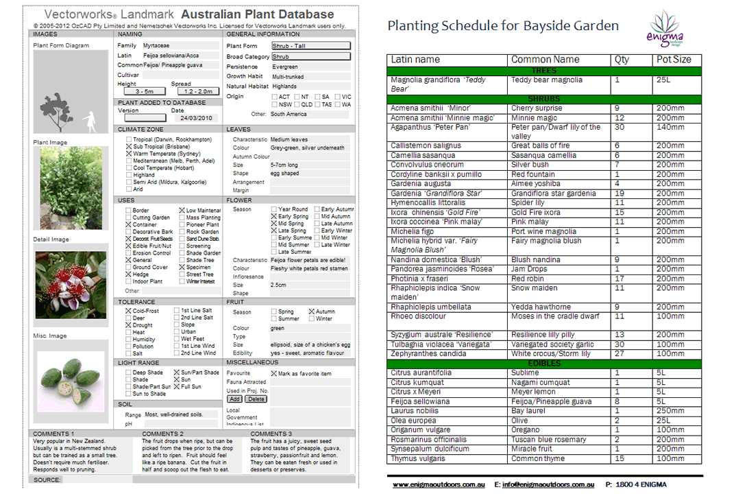 planting-schedule