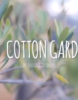 Mount Cotton Garden