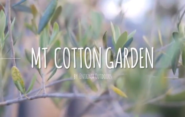 Mount Cotton Garden