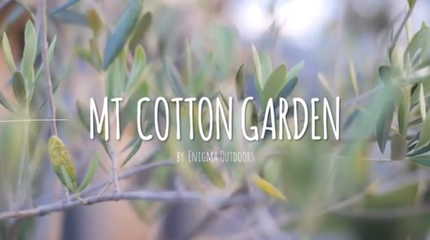 Mount Cotton Garden